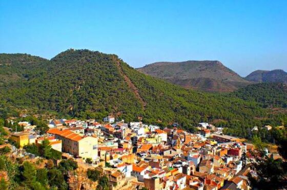 Serra solicita mayor inversión en gestión forestal para prevenir incendios en la Calderona